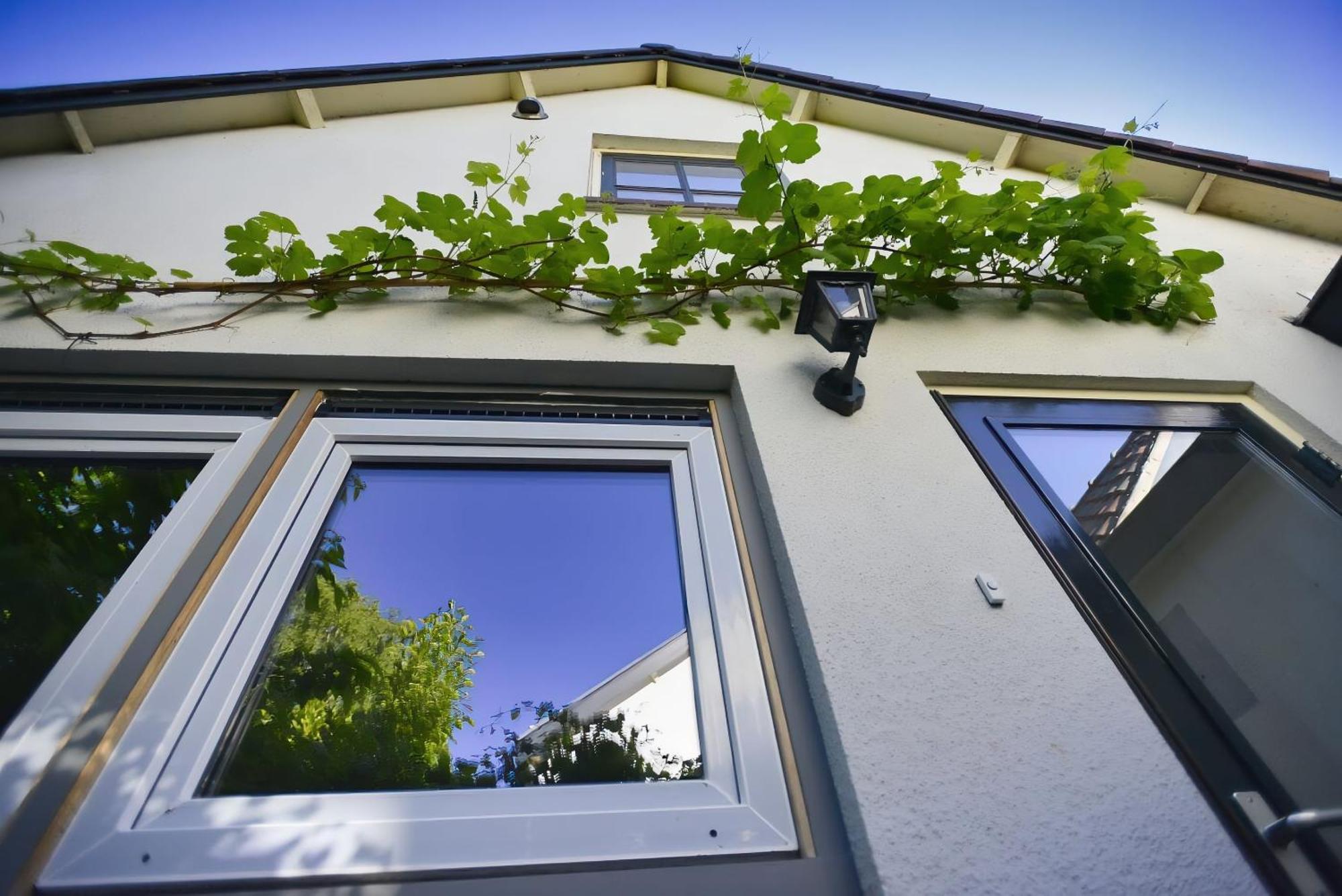 Logies Op Dreef Bed & Breakfast Driebergen Exterior photo